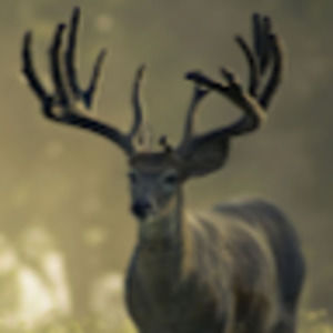 Meet your Posher, Ethan